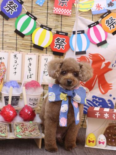 20240728ココアくん